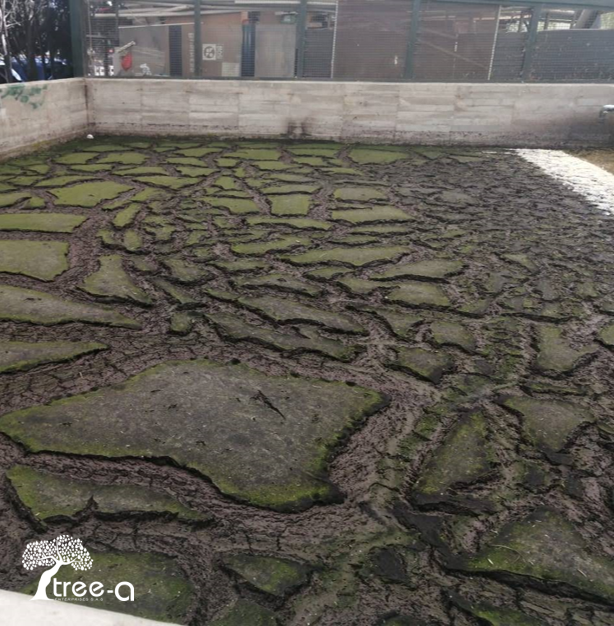 Img de Planta de tratamiento de agua residual de Tree-a Enterprises