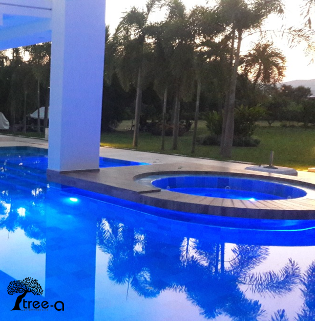 Imagen de piscina en Tree-a Enterprises SAS